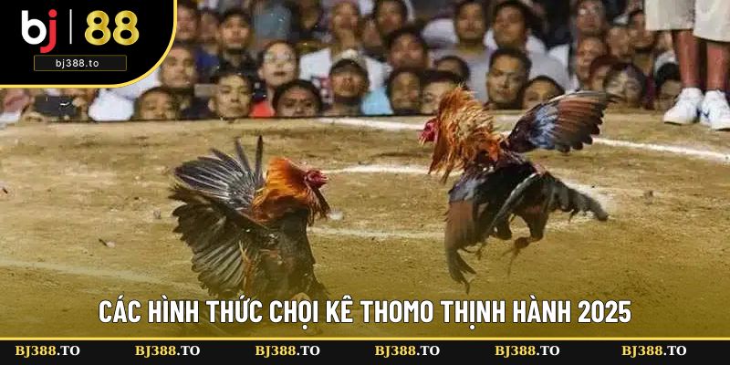 Danh sách các cách chơi chọi kê nổi bật Danh sách các cách chơi chọi kê nổi bật