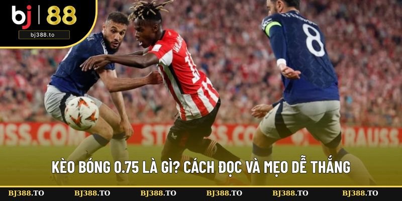 Kèo Bóng 0.75 Là Gì? Cách Đọc Và Mẹo Cược Dễ Thắng 2025