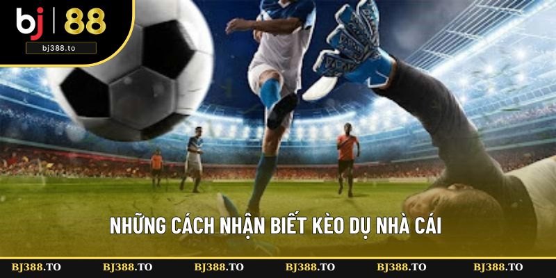 Cách nhận biết kèo dụ nhà cái chưa ai nói với bạn Cách nhận biết kèo dụ nhà cái chưa ai nói với bạn