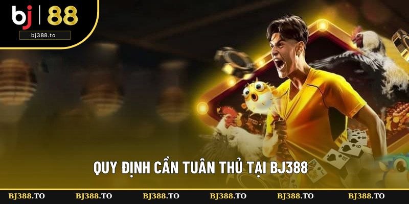 Quy định cần tuân thủ tại nhà cái BJ388 Quy định cần tuân thủ tại nhà cái BJ388
