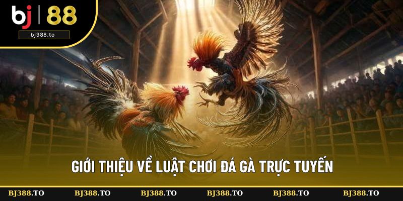 Tìm hiểu về nội dung luật đá gà online Tìm hiểu về nội dung luật đá gà online
