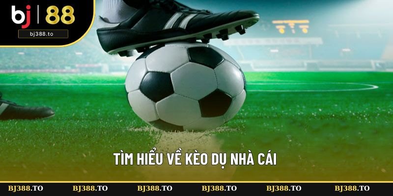 Tìm hiểu về kèo dụ Tìm hiểu về kèo dụ