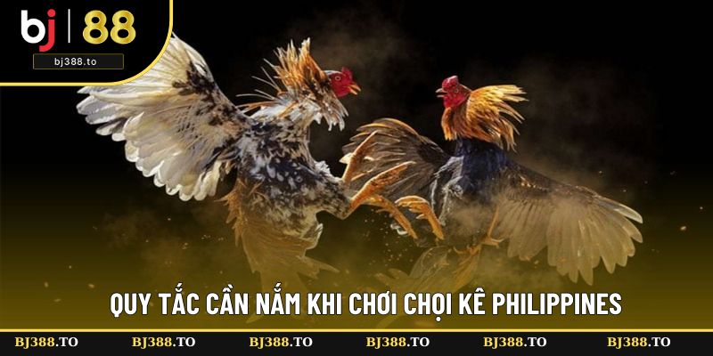 Tổng hợp các điều quan trọng cần nắm vững Tổng hợp các điều quan trọng cần nắm vững